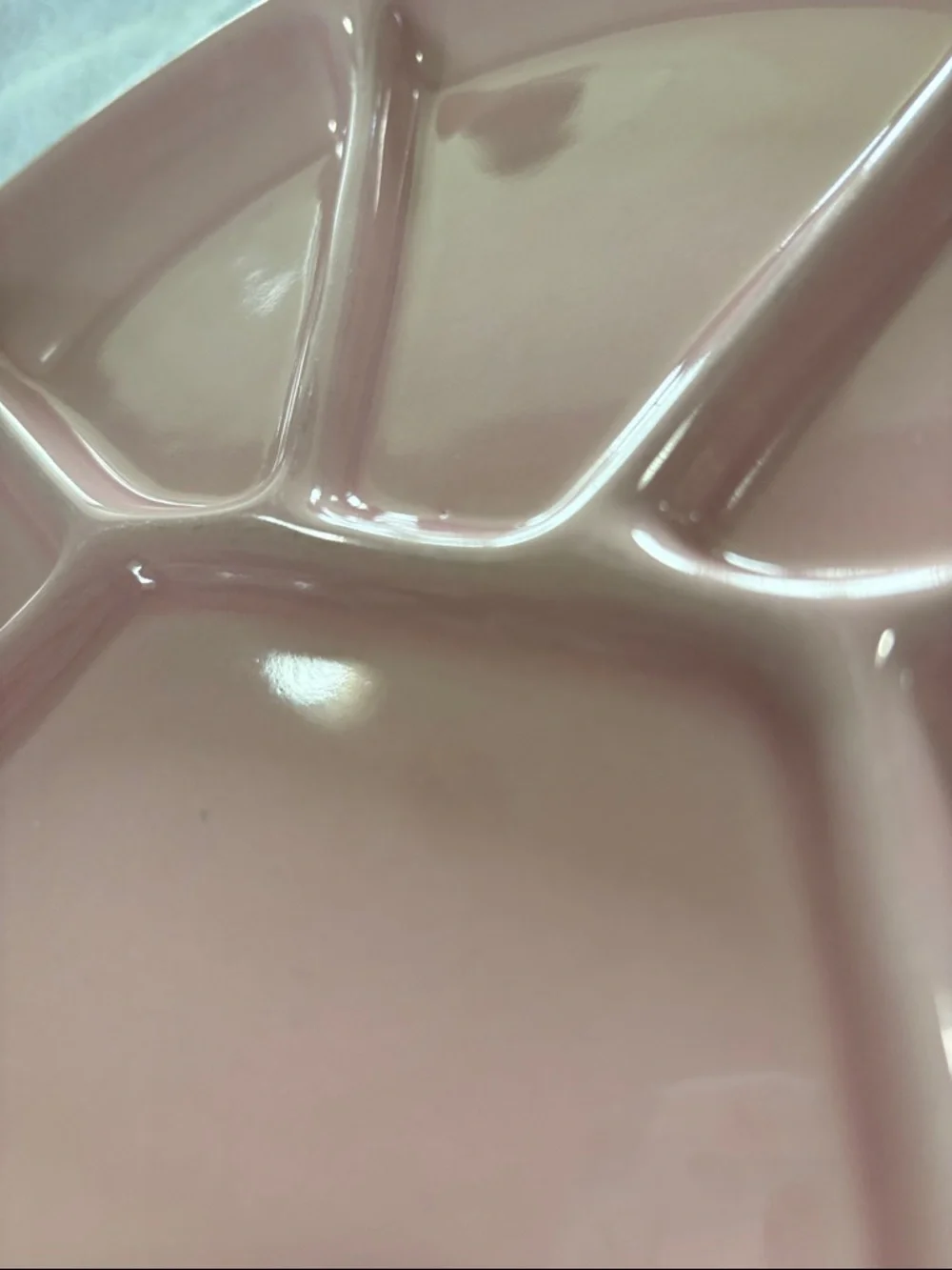 🩷 (2) Williams Sonoma Blush Pink Fondue Plates